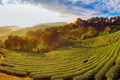 10-Day Thailand Tour: Bangkok, Ayutthaya, Chiang Rai & Chiang Mai